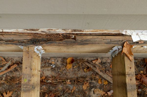 Durham Wood Rot Repair