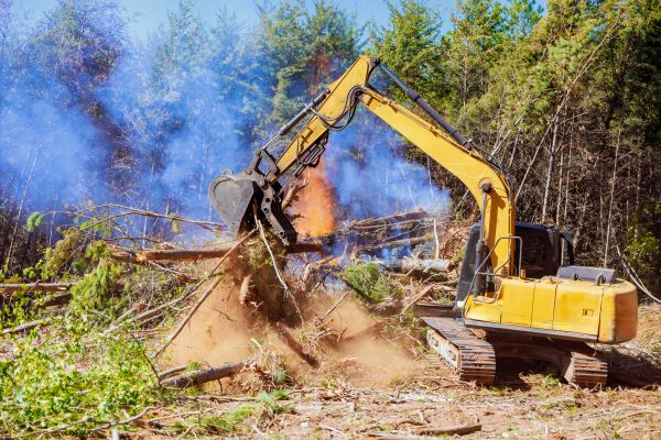 Durham Land Clearing